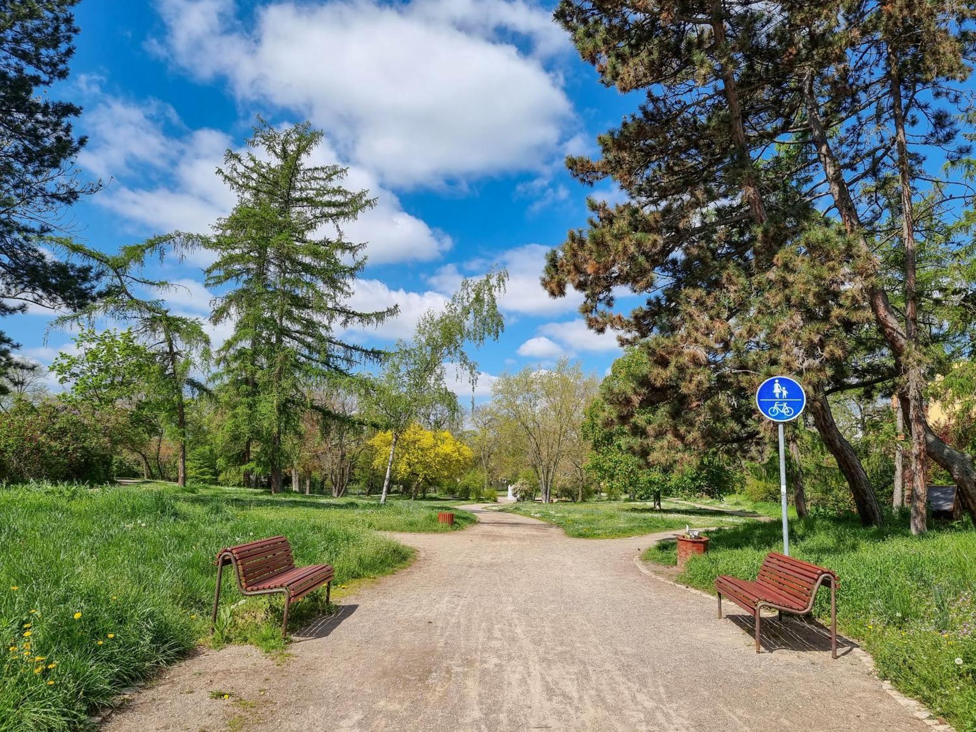 Ferienwohnung Am Stadtpark Naumbourg Extérieur photo